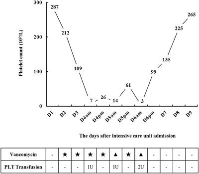 Severe Thrombocytopenia Caused by Vancomycin in the Intensive Care Unit: A Case Report